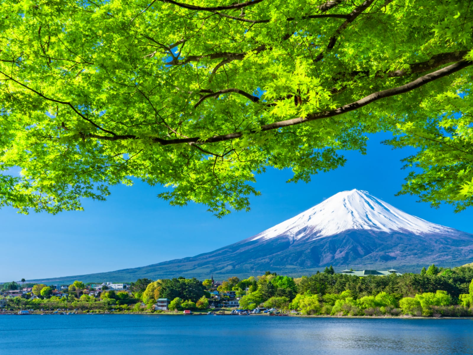 好き＆行ってみたい「山梨県の森林浴スポット」ランキング