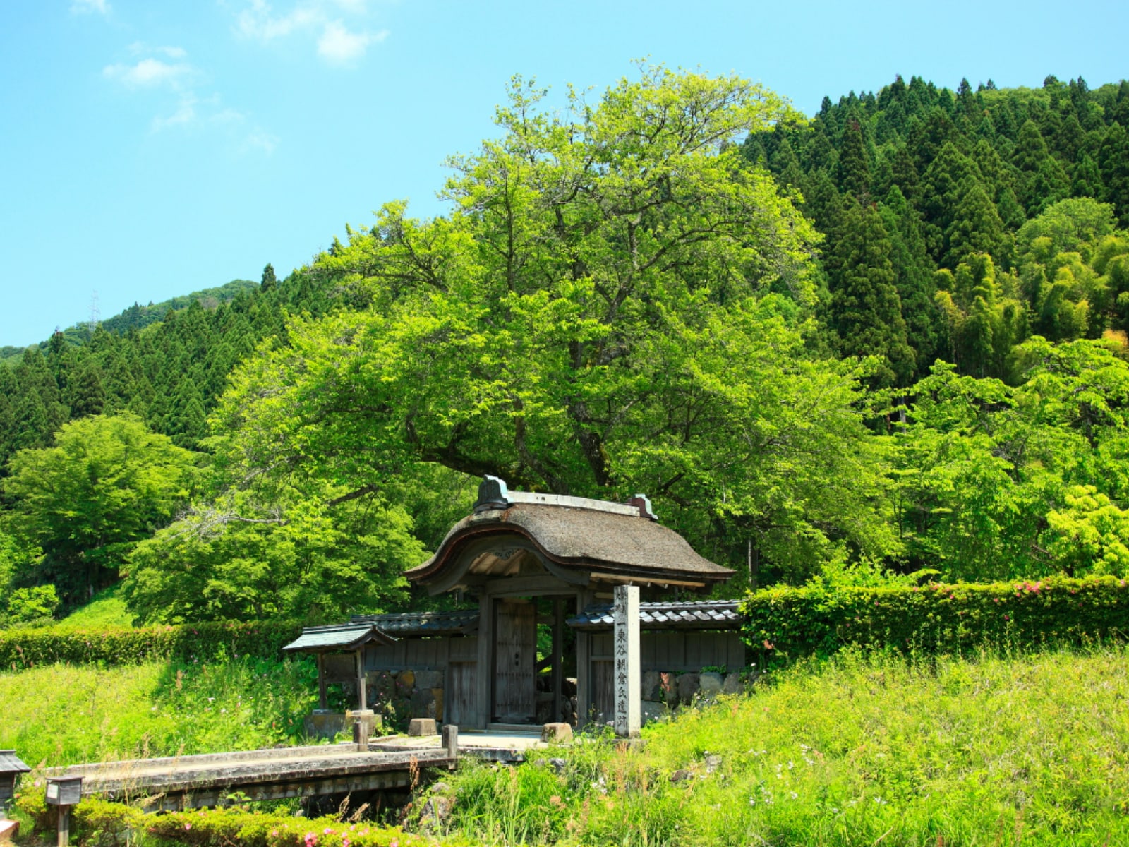 好き＆行ってみたい「福井県の森林浴スポット」ランキング