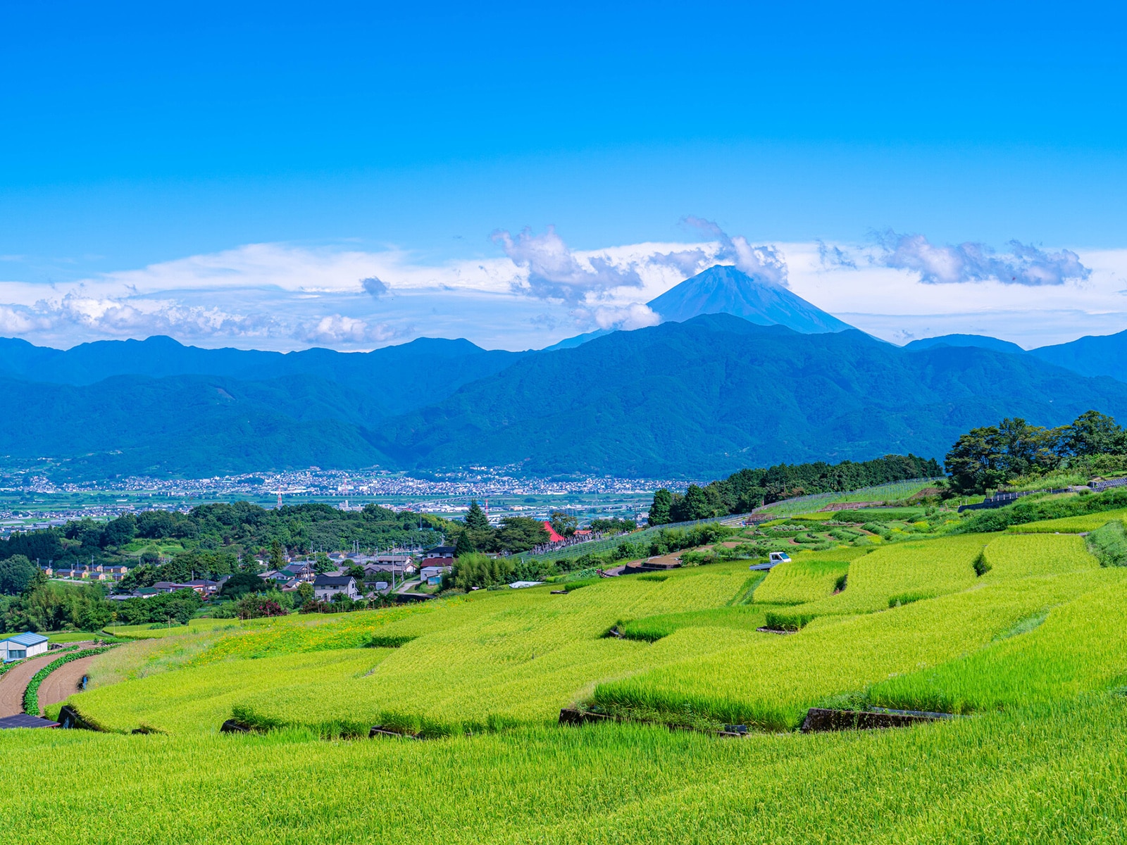山梨県の13市で「老後に住みたい」と思う市ランキング