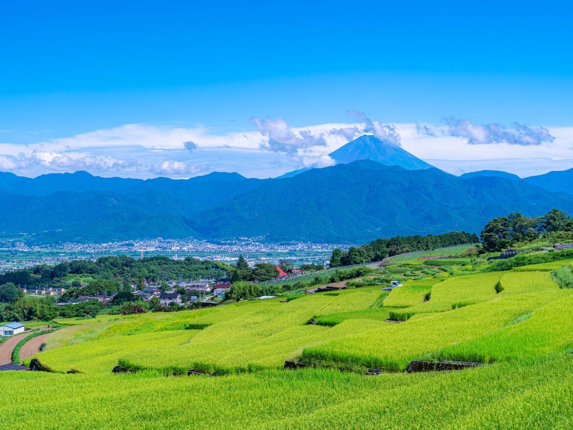 山梨県の13市で「老後に住みたい」と思う市ランキング！ 2位「南アルプス市」、1位は？【2025年調査】 - All About ニュース