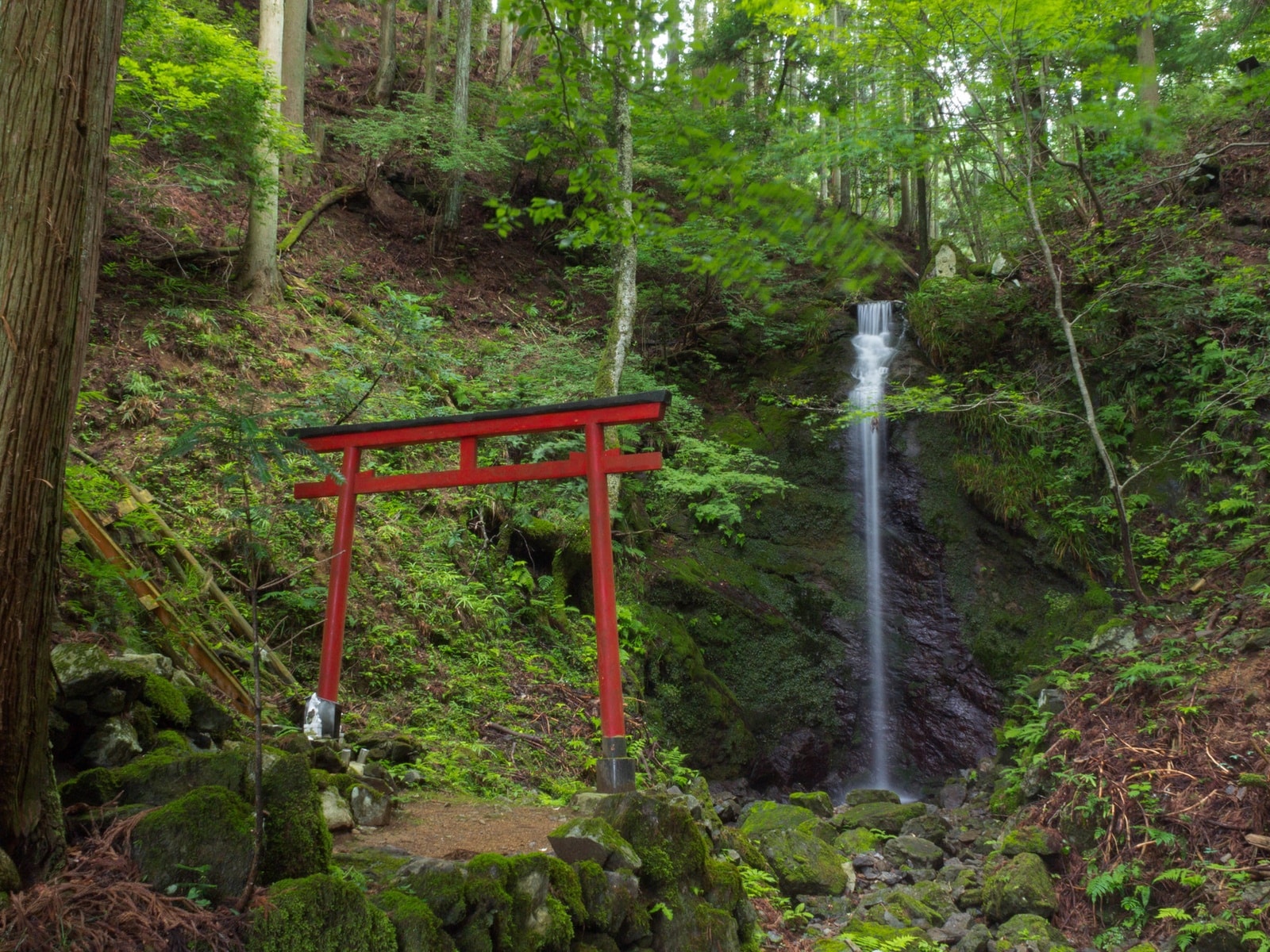 「夏に行きたい滝」ランキング