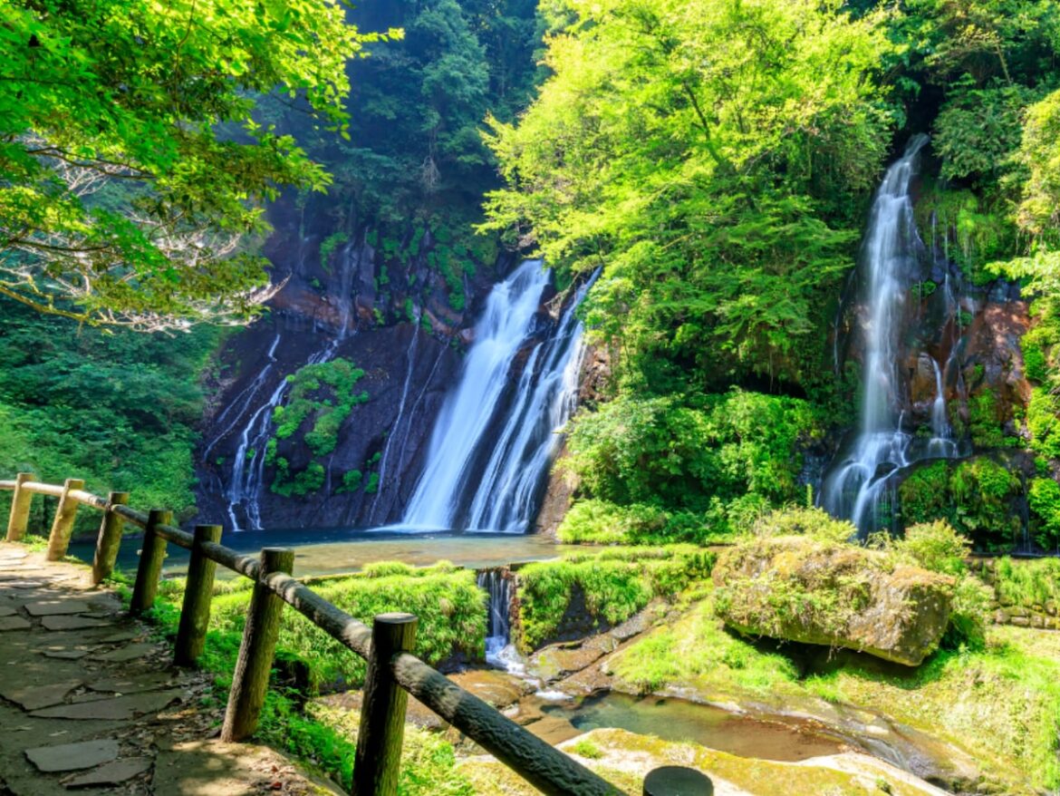 大分県で「夏に行きたい滝」ランキング！ 2位「白水の滝」を大差で抑えた1位は？【2025年調査】 - All About ニュース