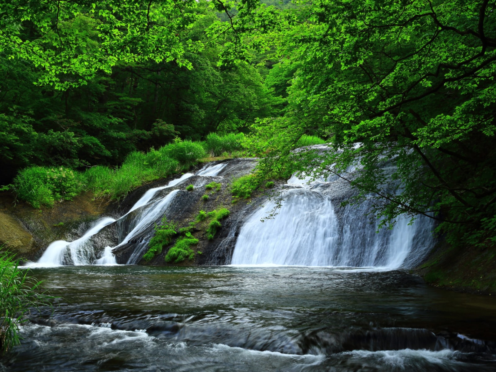 「岩手県で『夏に行きたい滝』」ランキング