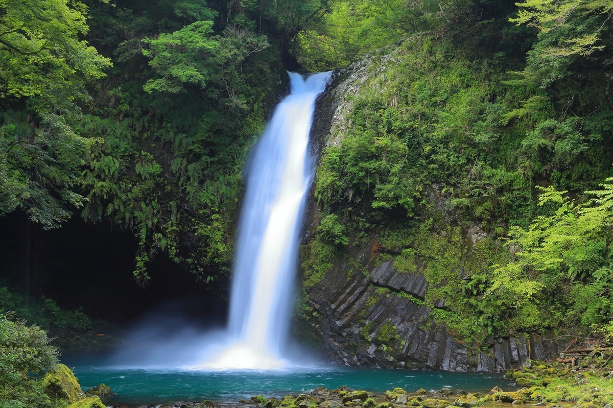 「静岡県で夏に行きたい滝」ランキング