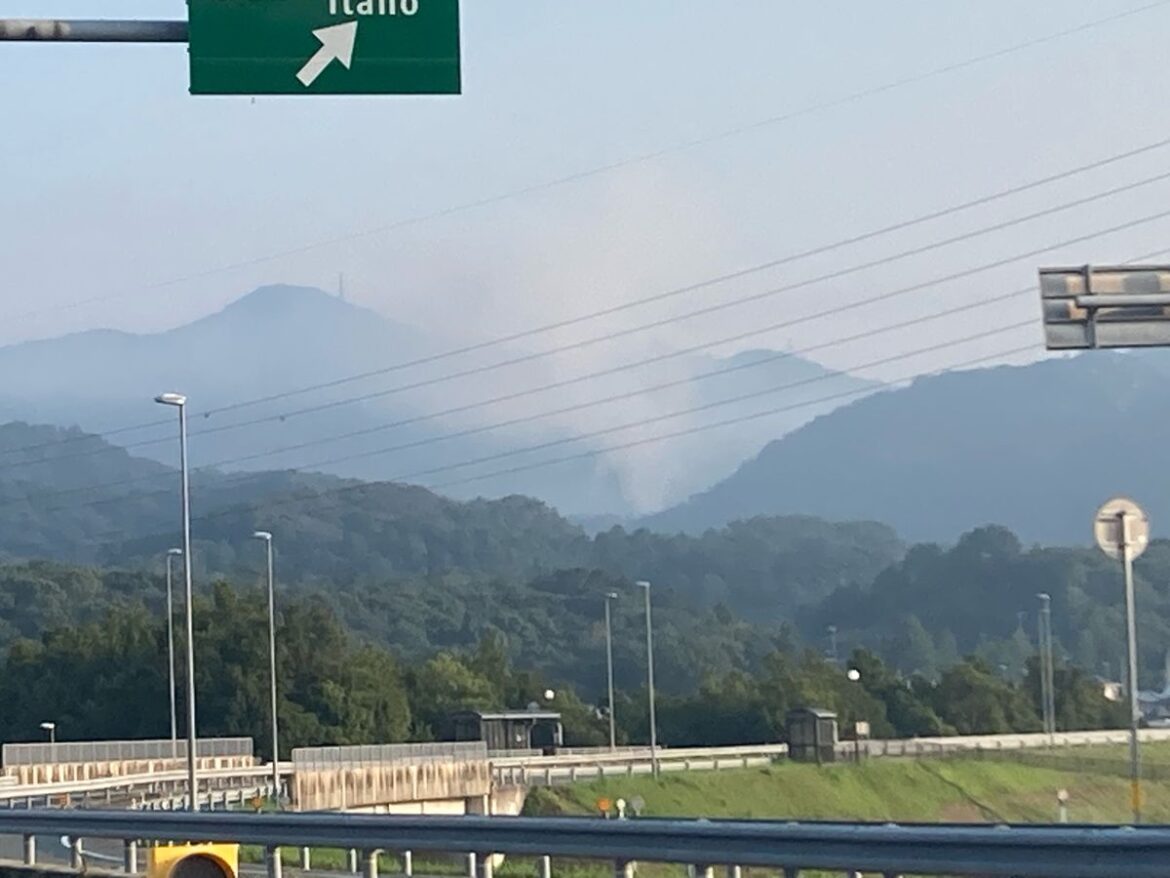 共有