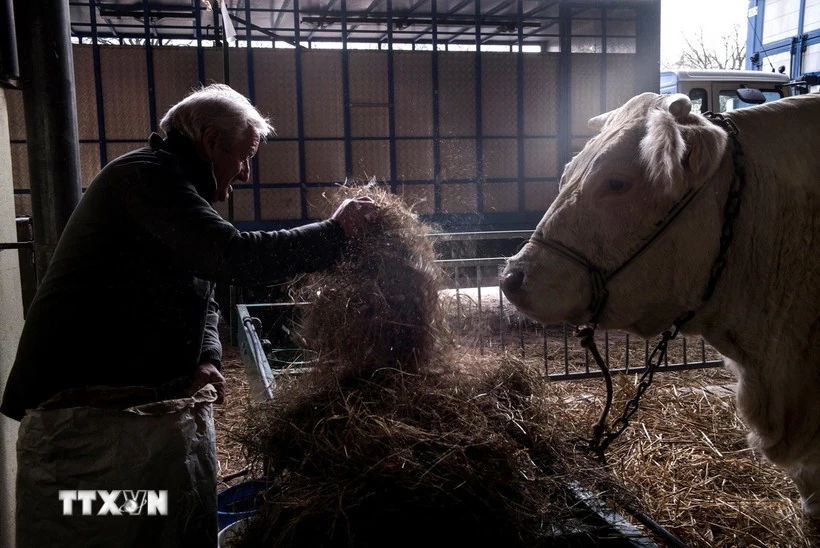 フランスのエマニュエル・マクロン大統領、EUとメルコスールの協定承認の条件を設定