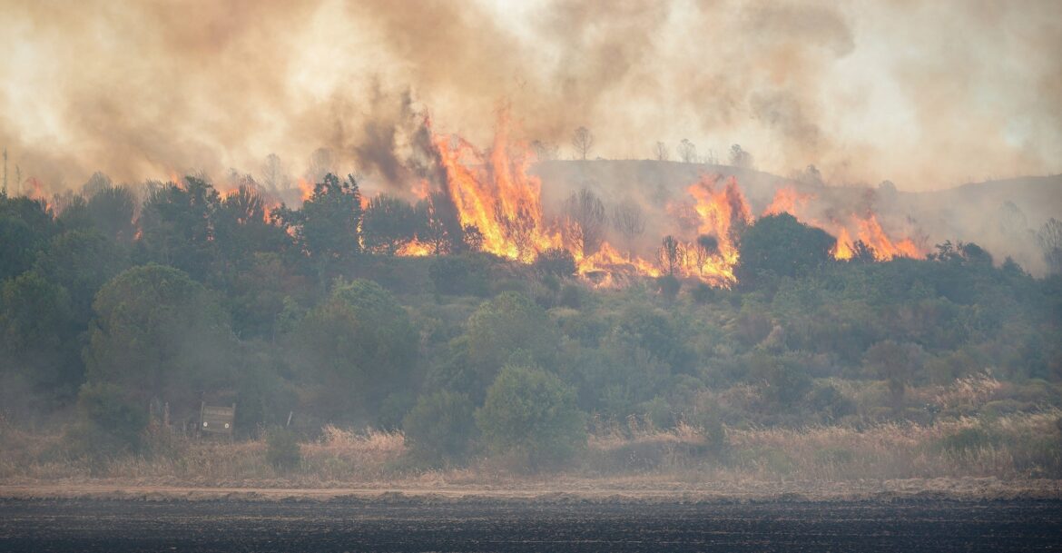 Wildfire Map Spotlight：Southern France Wildfire
