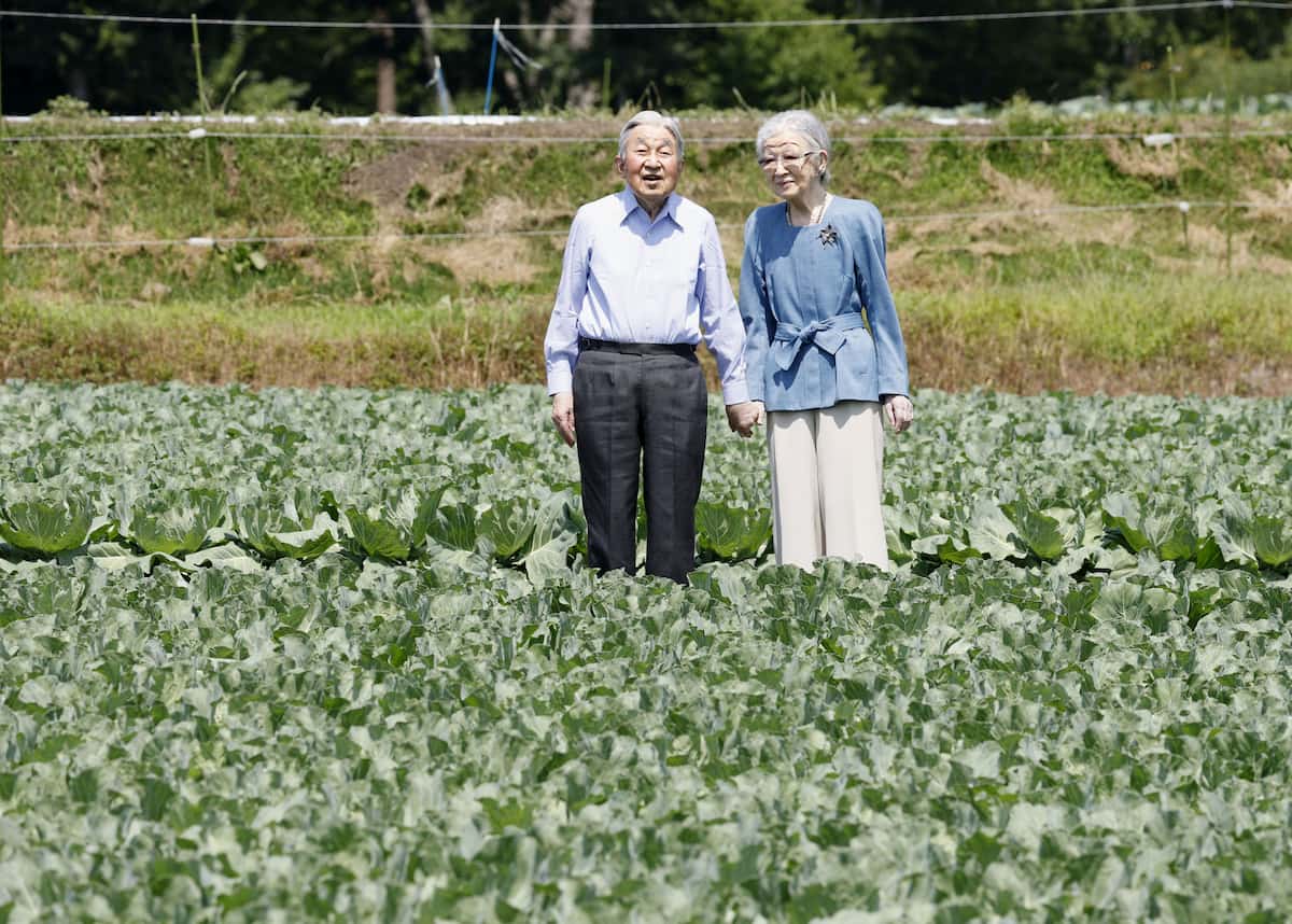 大日向開拓地の野菜畑を散策される上皇ご夫妻＝23日午前、長野県軽井沢町
