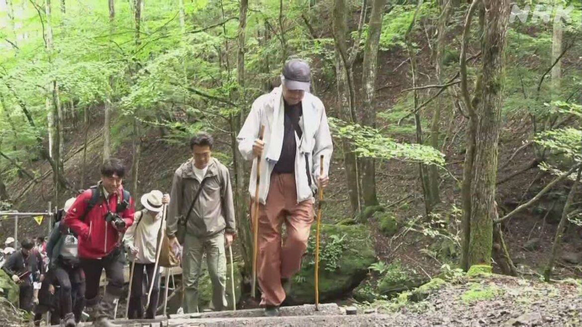 日航機墜落事故からきょうで40年 遺族らが慰霊登山 - nhk.or.jp