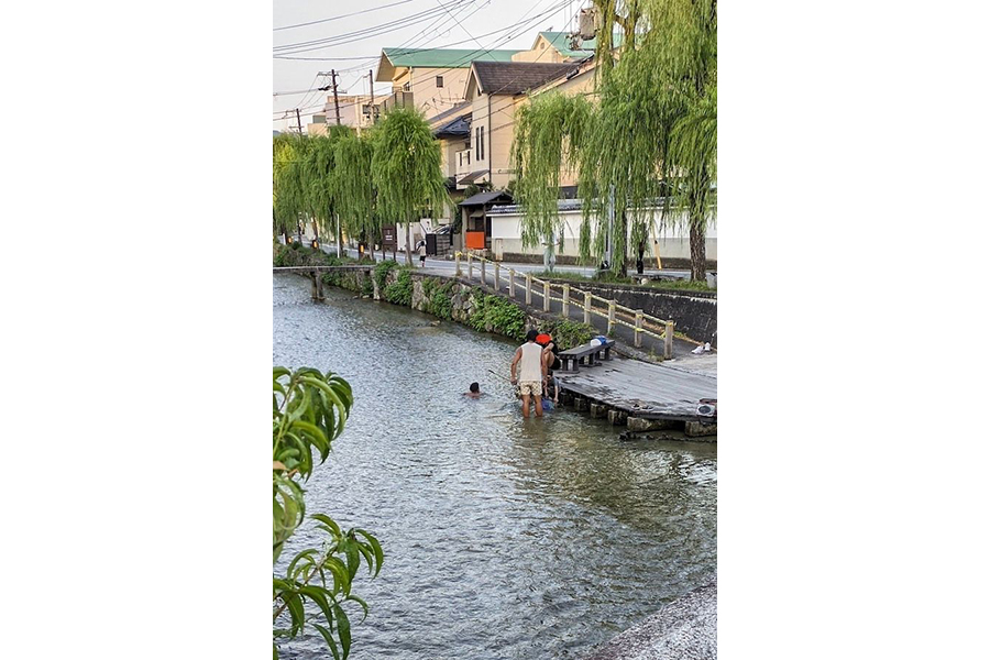ガンジス川」状態だった昨夏の「白川」（画像提供：花街ぞめき、正脇良平 Ryohei Masawakiさん）