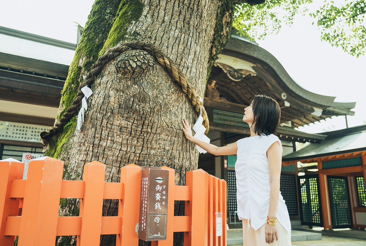 御神木の大楠にふれる宇賀さん