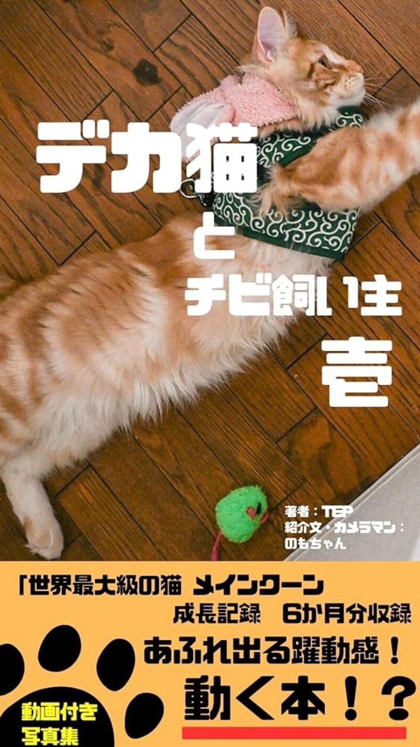 ※画像提供：介護支援施設 ほっとサロン様