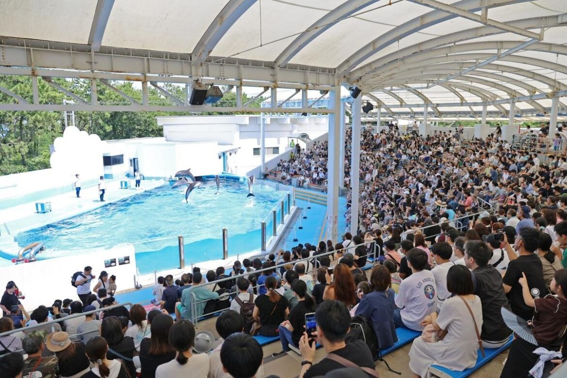 最大9連休だったお盆休み、新潟県内観光地の人出は？にぎわいの一方、大雨の影響も… - 新潟日報デジタルプラス