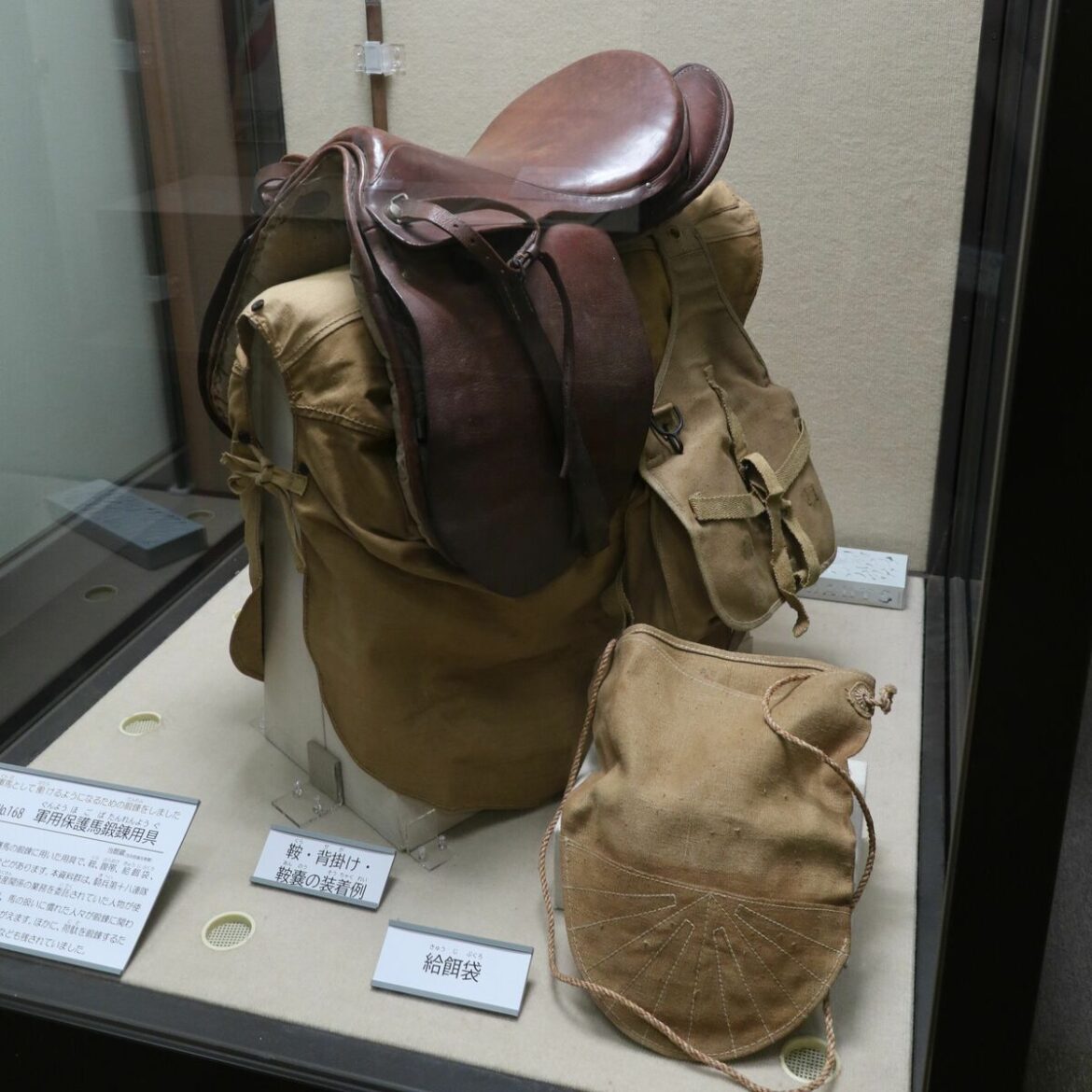 【とちぎ戦後80年】戦争と栃木を知る ③軍用保護馬 農耕馬や犬も戦地へ 県立博物館特別企画展｜下野新聞デジタル - 下野新聞社