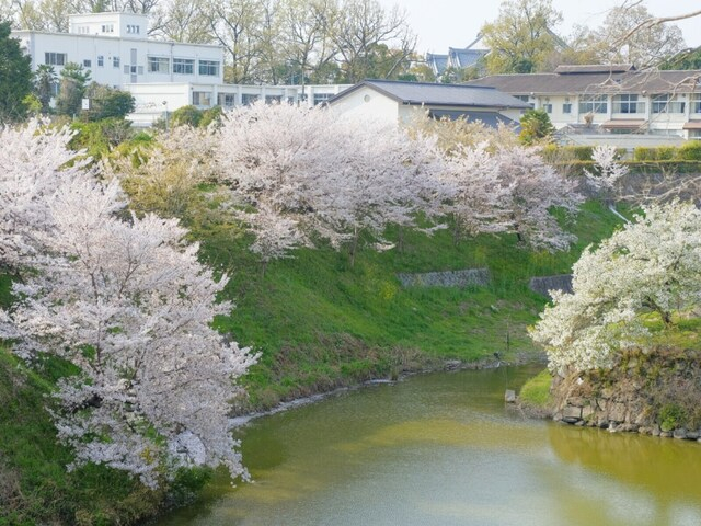 文武両道だと思う「奈良の公立進学校」ランキング！ 「郡山高等学校」を倍以上の票数で抑えた1位は？