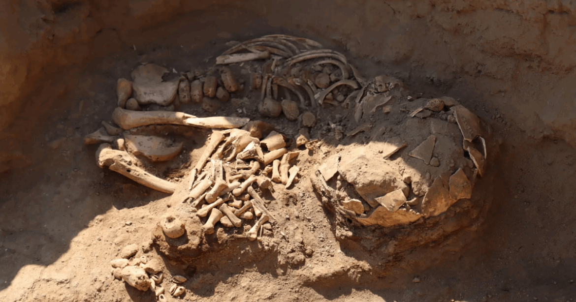 3800年前の4人の遺骨をペルーの神聖な寺院跡で発見。さらなる遺骨が埋まっている可能性も | ARTnews JAPAN(アートニュースジャパン) 3800年前の4人の遺骨をペルーの神聖な寺院跡で発見。さらなる遺骨が埋まっている可能性も | ARTnews JAPAN(アートニュースジャパン)
