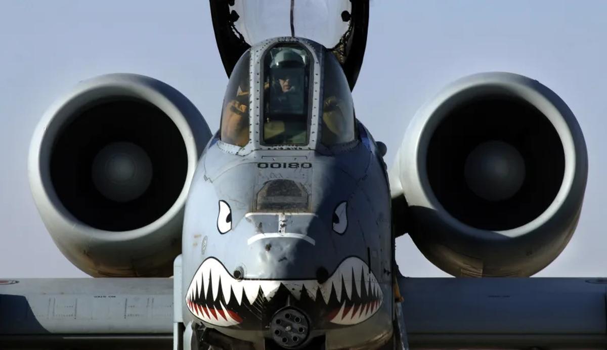 フライング・タイガースの象徴的なノーズアートが施されたＡ１０攻撃機＝２００４年、イラク/Cecilio Ricardo/Digital/US Air Force