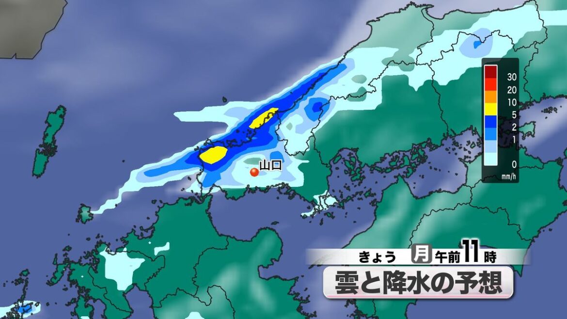 共有