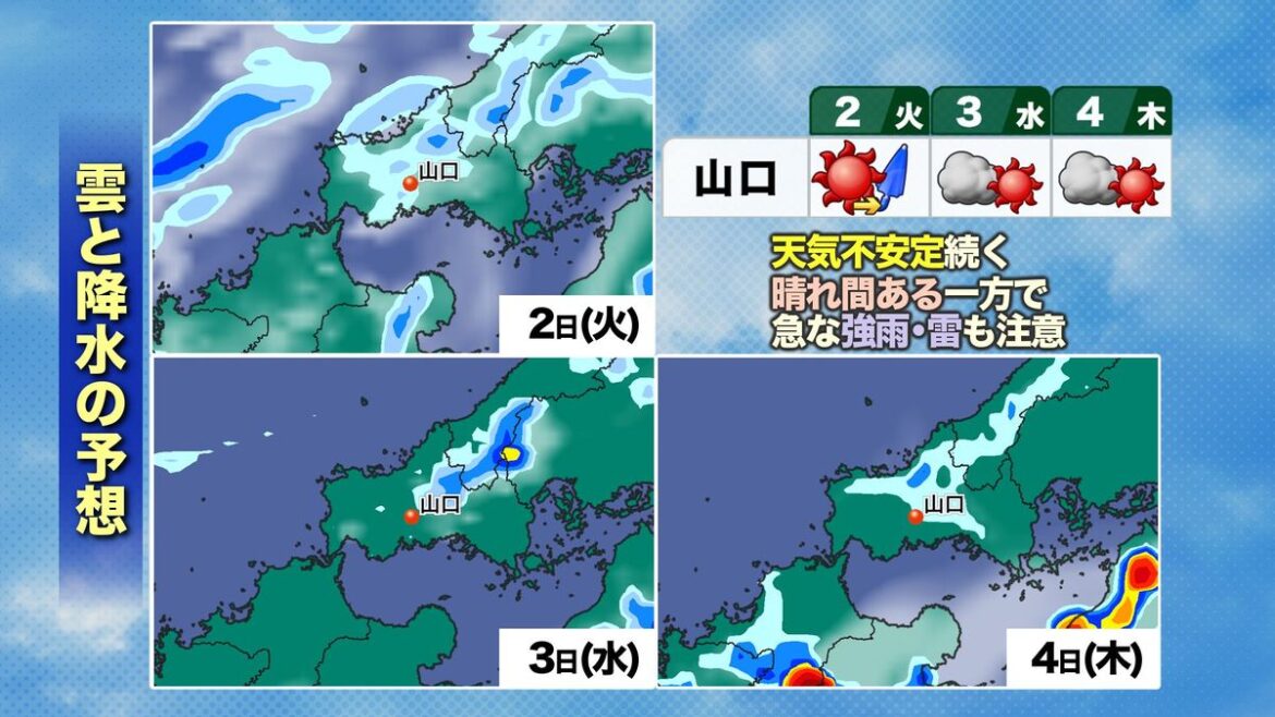 共有