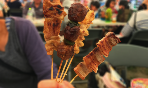 久留米焼きとり日本一フェスタへ行ってきました！焼き鳥にとんこつカレーが美味い！