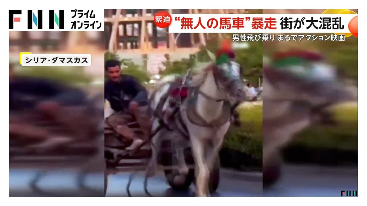 “無人の馬車”が突然暴走 前の車を抜かすなど道路は大混乱 男性が馬車に飛び乗り…しばらく走って止まる シリア “無人の馬車”が突然暴走 前の車を抜かすなど道路は大混乱 男性が馬車に飛び乗り…しばらく走って止まる シリア