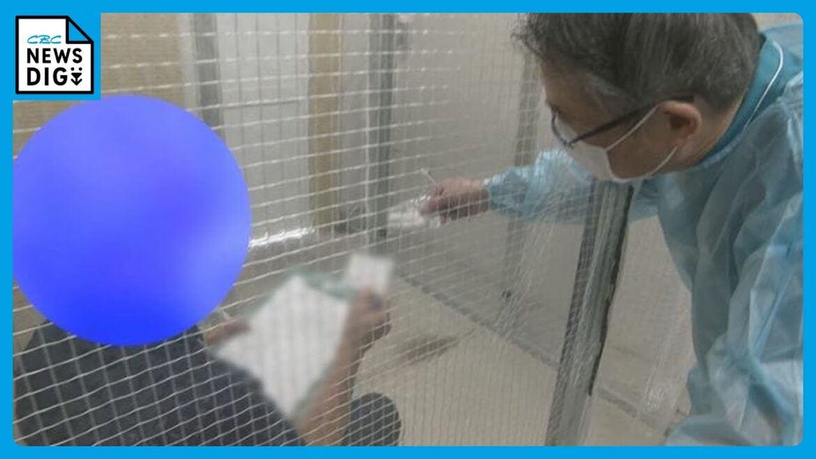 新型コロナ感染拡大 症状の特徴は？薬不足は？ オミクロン株から派生した「ニンバス」が猛威を振るう