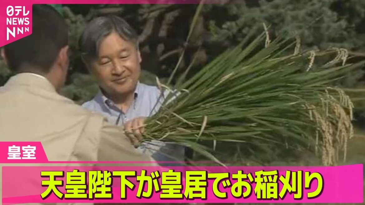 【皇室】天皇陛下 皇居でお稲刈り / 悠仁さま、昭和天皇陵を参拝　成年式終えたことを報告── 皇室ニュースライブ（日テレNEWS LIVE）