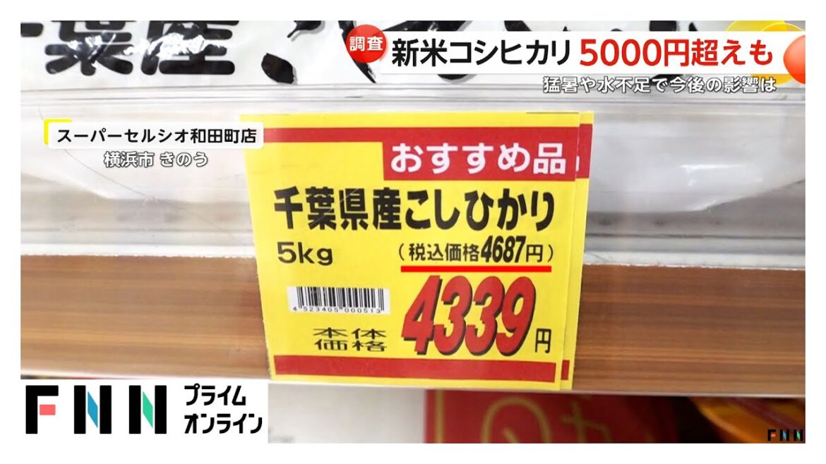 新米「コシヒカリ」5000円超えも…前年比で1700円値上がり　猛暑や水不足影響で今後さらに上昇か