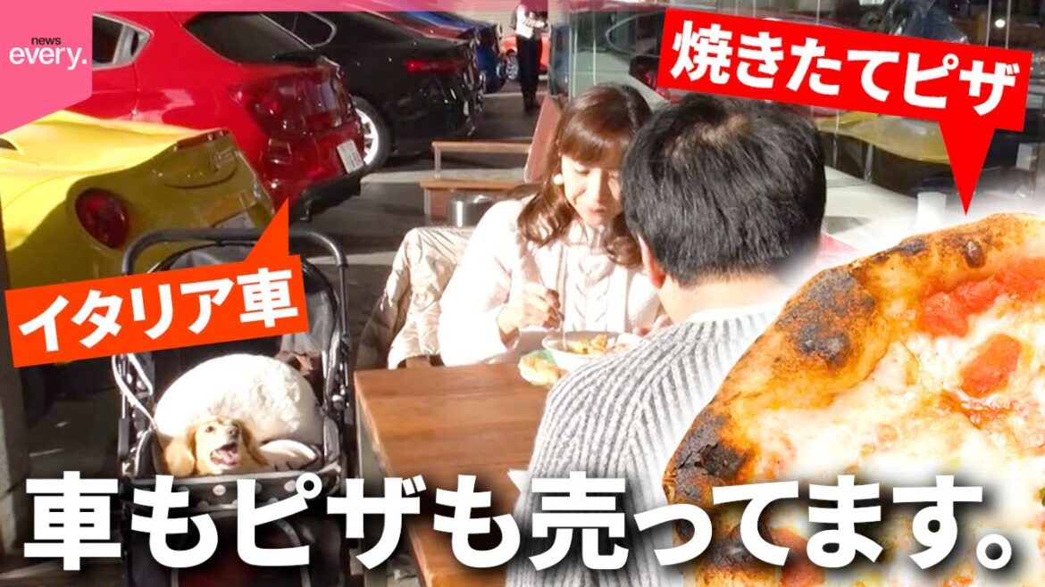 【びっくり】車見に来たはずが…ピザもパスタも絶品!イタリア車販売店のカフェ「そんなトコロに人気店」『every.特集』