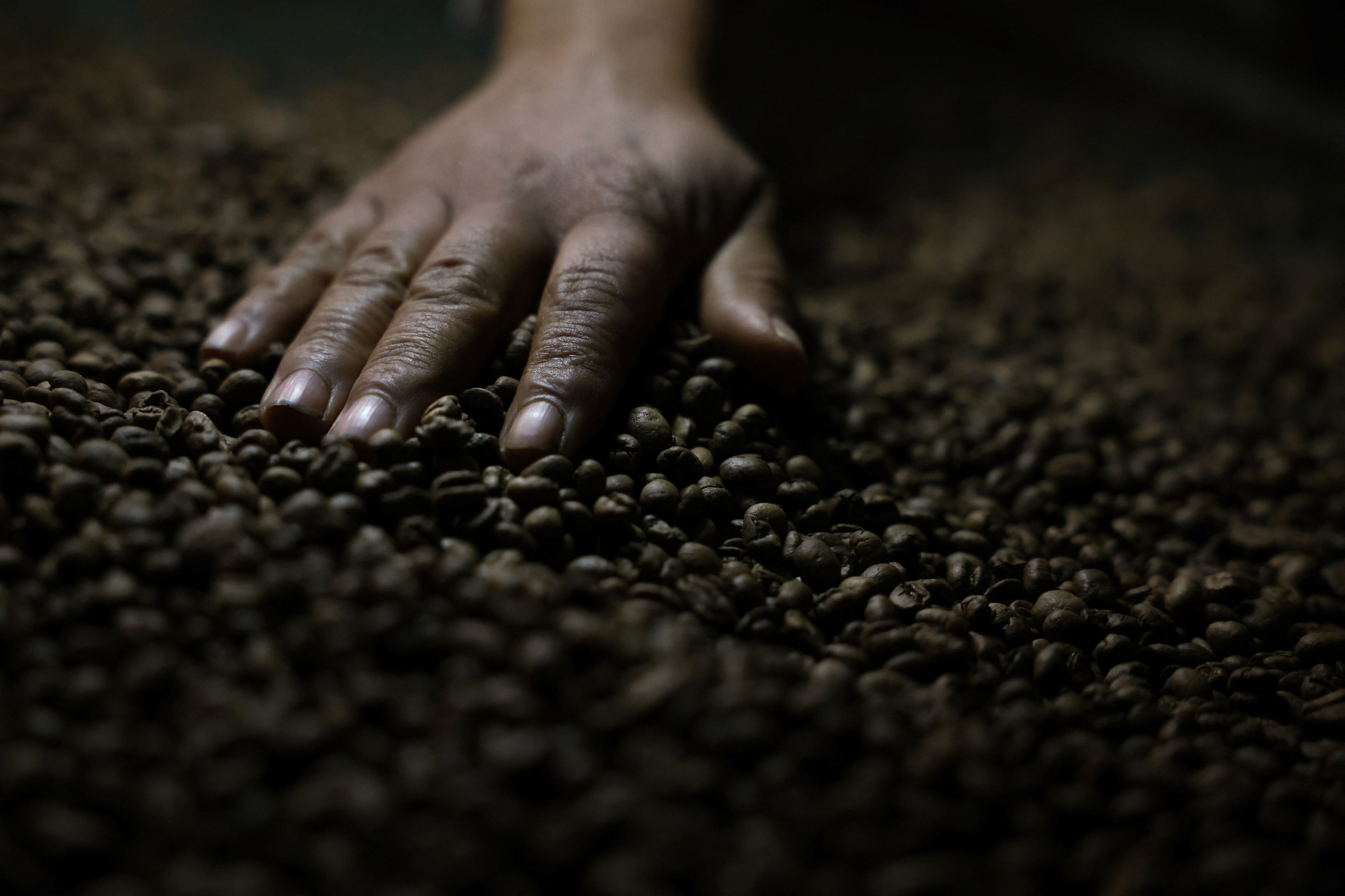 価格高騰のコーヒー、ブラジルで消費控え　24％「減らした」＝調査