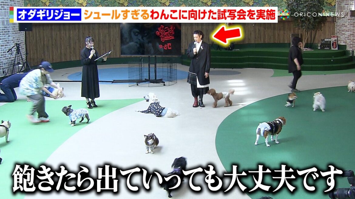 【史上初】オダギリジョー、犬たちに映画をお披露目「飽きたら出ていっても大丈夫です」シュールすぎる舞台挨拶を敢行　映画『THE オリバーな犬、(Gosh!!)このヤロウ MOVIE』わんこ試写会
