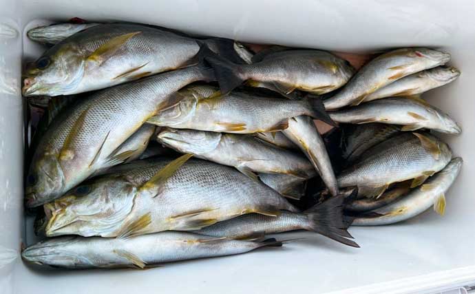 【沖釣り釣果速報】富山湾のアカムツ便で手堅くヒット!福井沖ではマイカ狙いのイカメタルで竿頭76匹も(北陸)