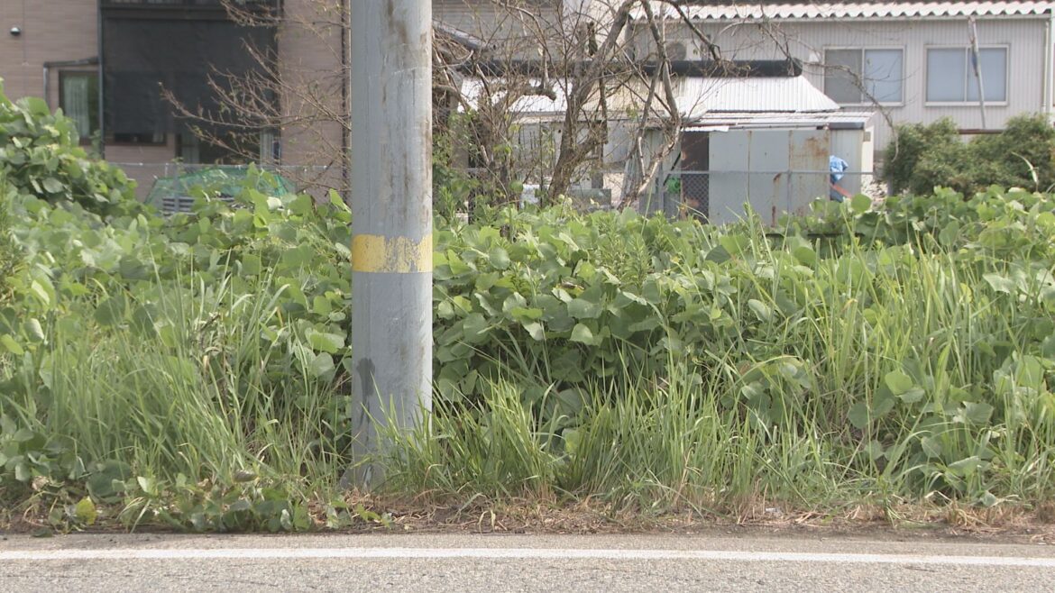 反対車線道路脇の標識に車衝突 運転手の50代男性死亡 石川・白山市（MRO北陸放送） - Yahoo!ニュース