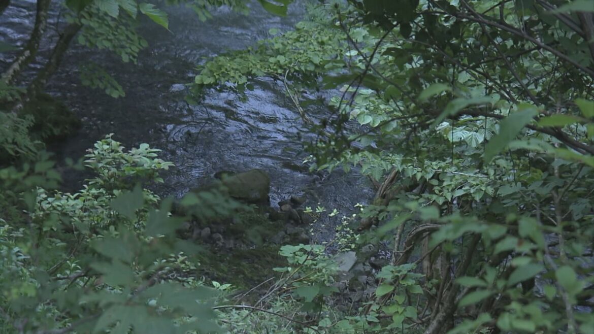 被害者女性は「舌骨」折れていた 岐阜・本巣市の“遺体遺棄事件” 強い力で首を圧迫か 女性に防御創なし（CBCテレビ） - Yahoo!ニュース