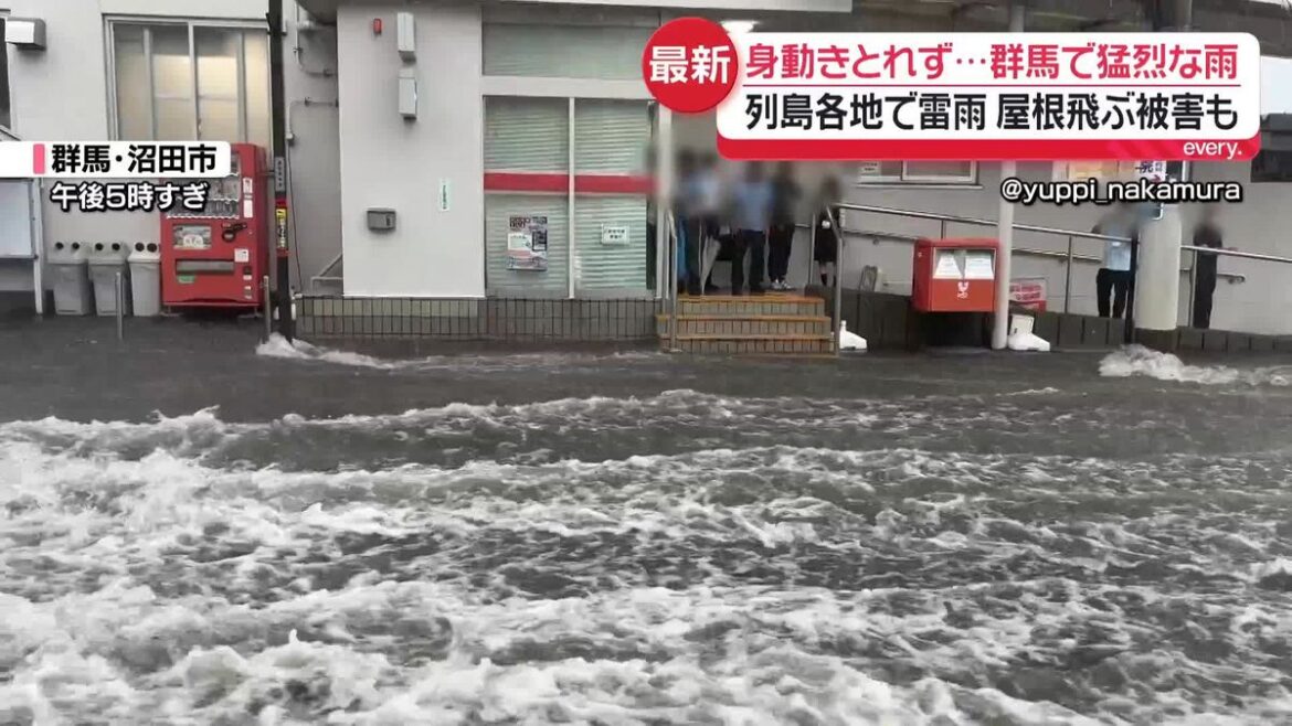 日本テレビ放送網