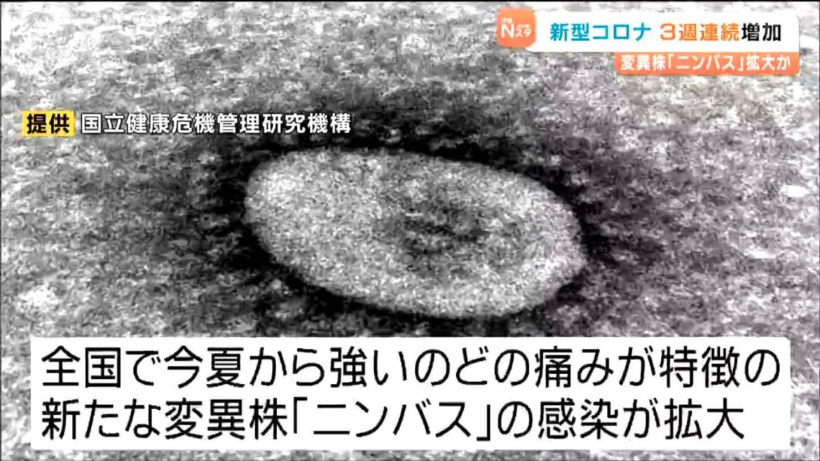 新変異株「ニンバス」影響か 新型コロナ感染者数が3週連続で増加 宮城（tbc東北放送） - Yahoo!ニュース