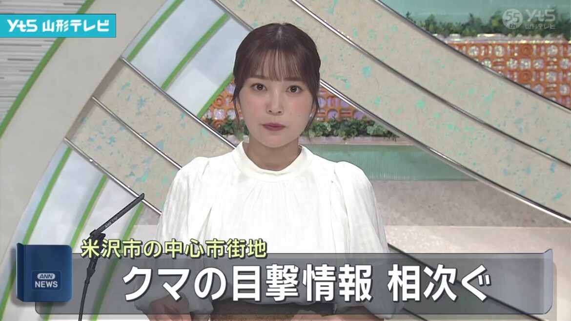 【山形】山形県米沢市の中心地でクマの目撃情報が相次ぐ（YTS山形テレビ） - Yahoo!ニュース