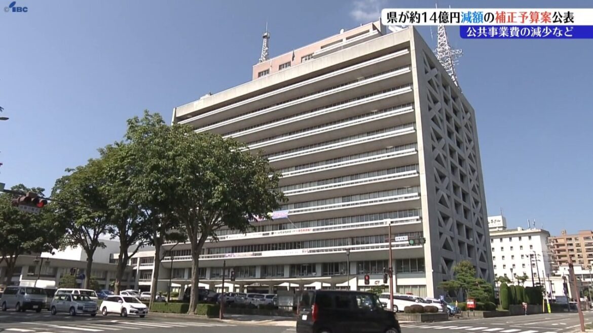 岩手県が渇水、高温対策やクマに対する「緊急銃猟」支援などの補正予算案を発表（IBC岩手放送） - Yahoo!ニュース - Yahoo!ニュース