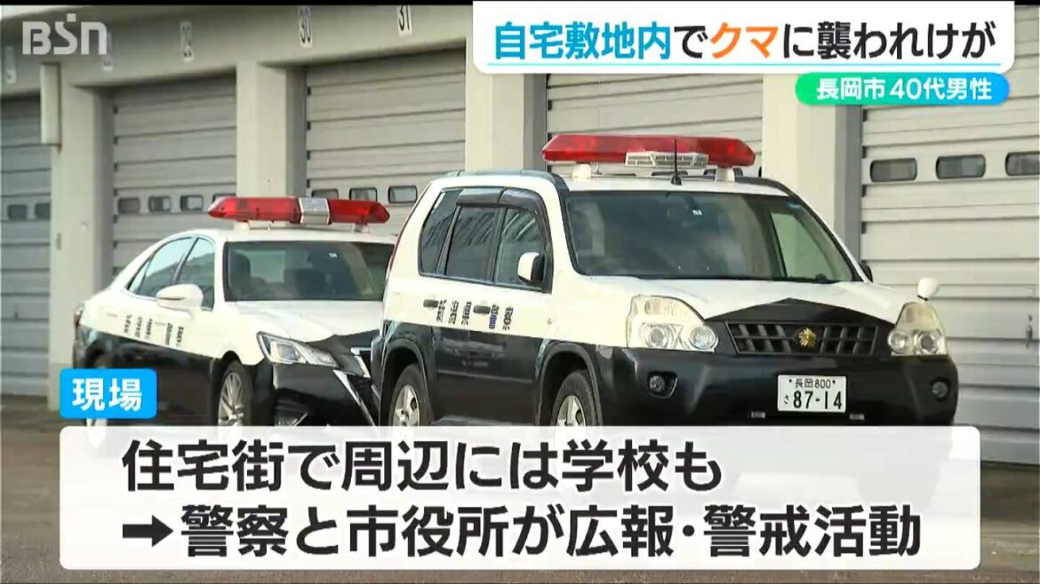 自宅敷地内で1.3mのクマに襲われる 命に別状なしも左脇腹にすり傷 　新潟県長岡市（ＢＳＮ新潟放送） - Yahoo!ニュース