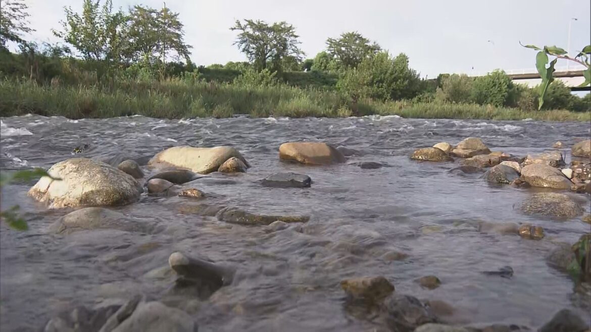アユ釣りをしていた男性が川に流され死亡 20日に降った雨の影響で増水していたか 岐阜・関市（CBCテレビ） - Yahoo!ニュース