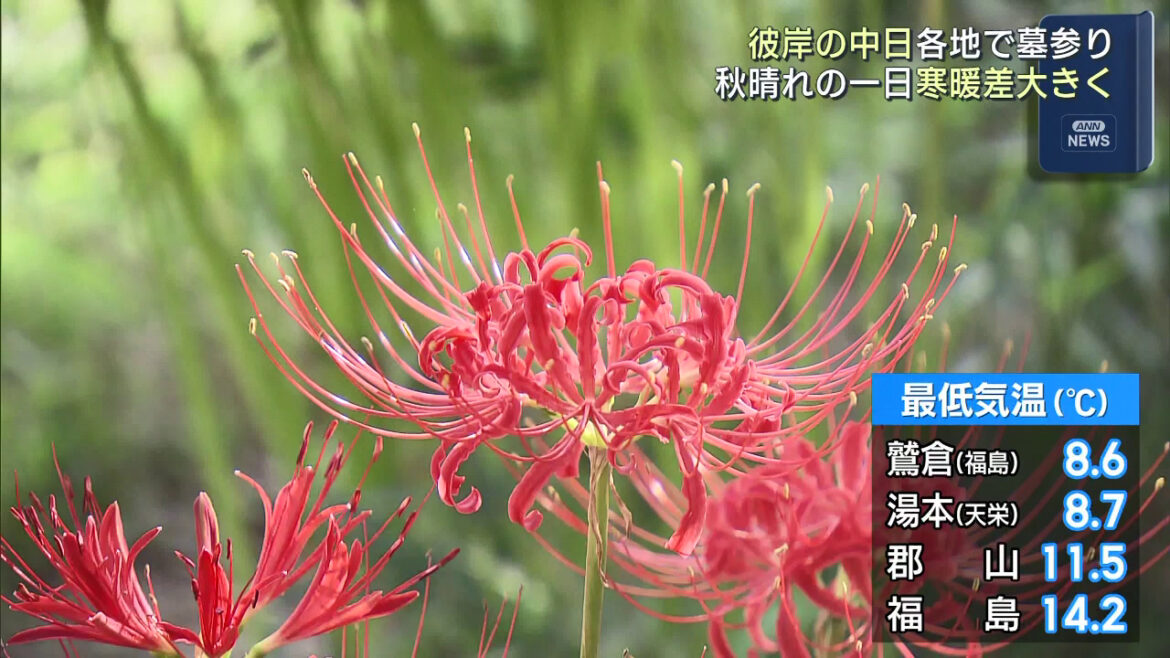彼岸の中日 各地で墓参り（福島）（KFB福島放送） - Yahoo!ニュース
