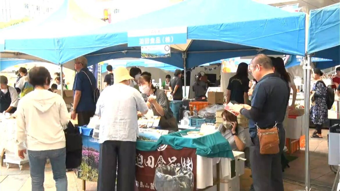 鹿児島県内各地のグルメや工芸「商工会こだわりの逸品フェア」始まる 大雨被災から復旧した店も出展（MBC南日本放送） - Yahoo!ニュース - Yahoo!ニュース