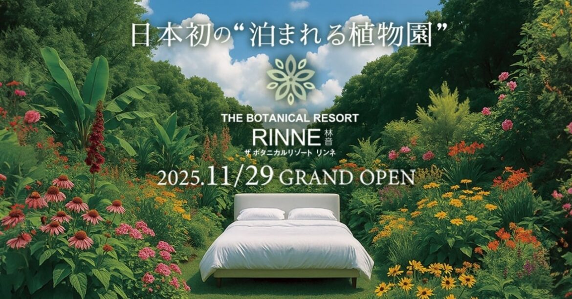 茨城県・県民の森が「泊まれる植物園」にリニューアル 「THE BOTANICAL RESORT 林音」11月29日より開業 | AMP[アンプ]