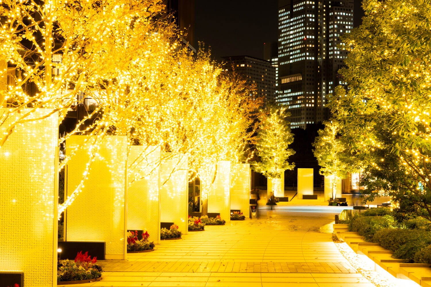 【東京・東京ガーデンテラス紀尾井町】大人の星屑イルミネーション