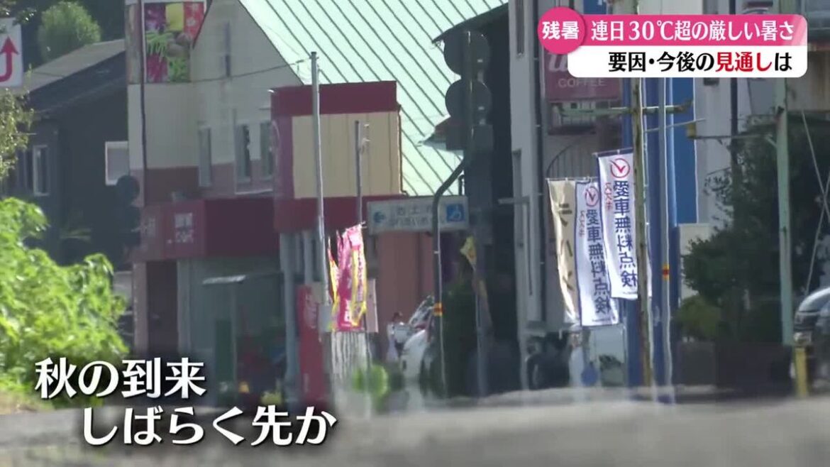 共有