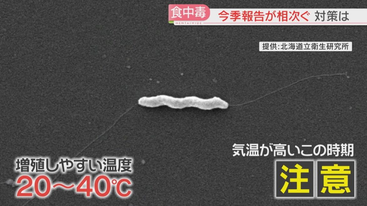 共有