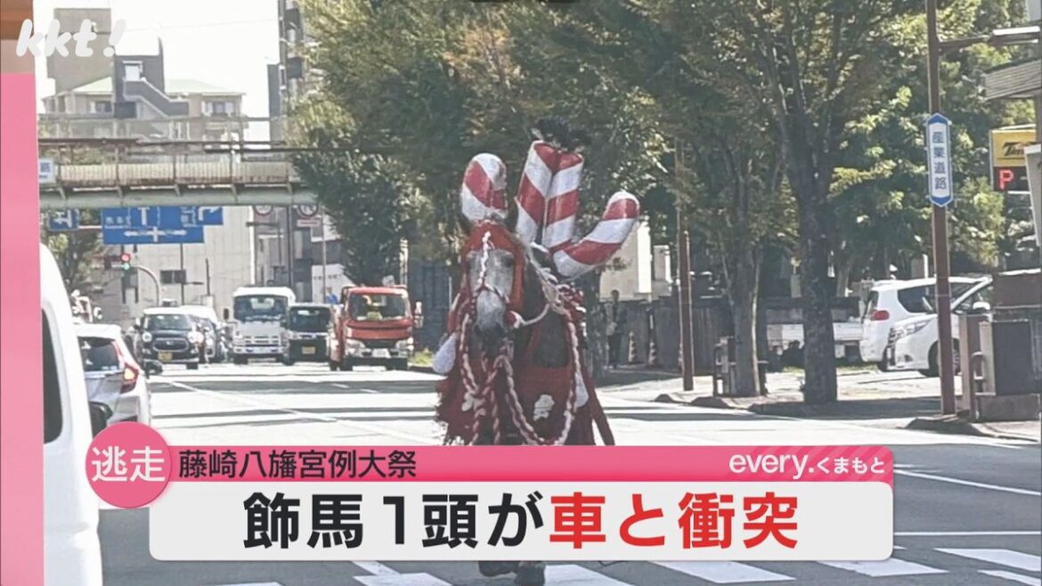 共有
