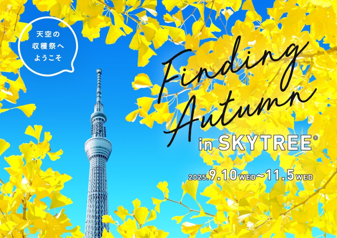 東京スカイツリー(R)でしか体験できない、秋の楽しみを見つけよう！Finding Autumn in SKYTREE(R) | 東京スカイツリータウンのプレスリリース