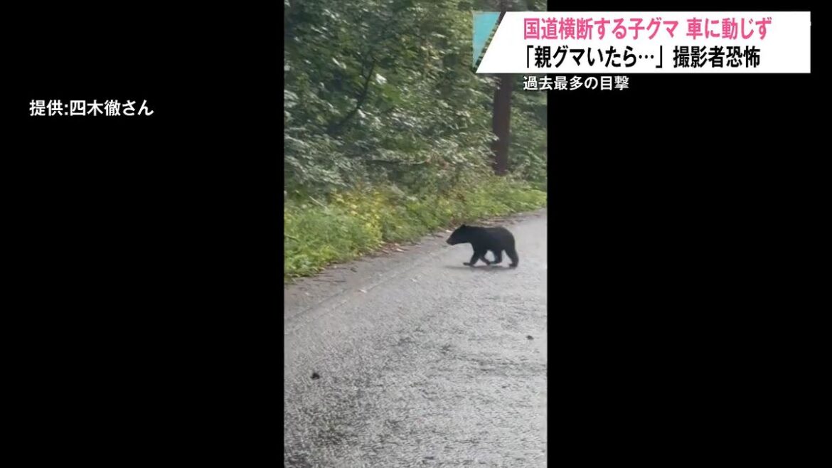 共有
