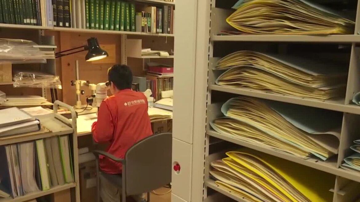 共有